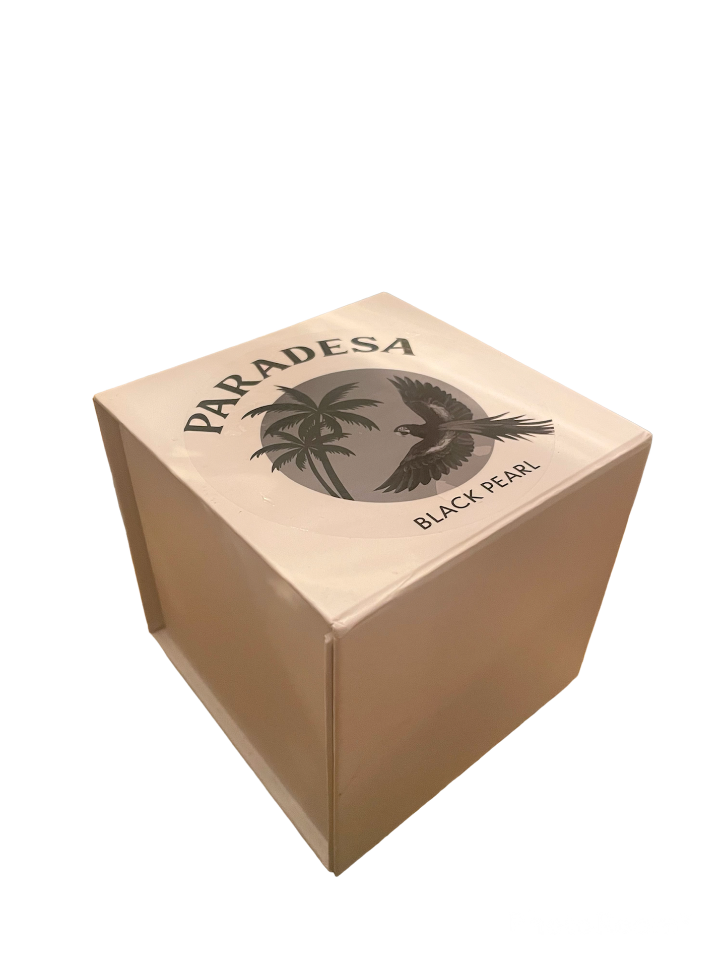Coffret Shots Black Pearl - Pack de 10 bouteilles - 10 cl